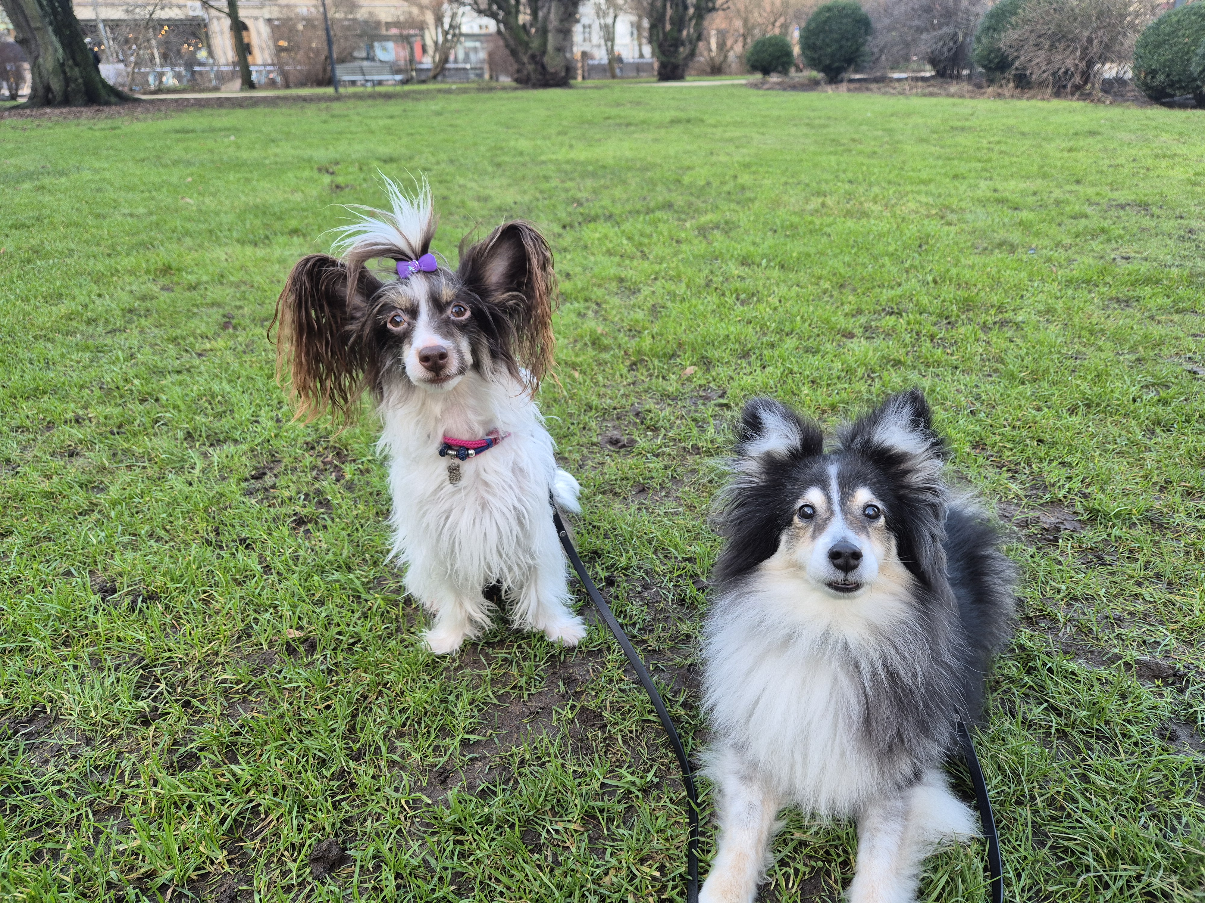 Cruella och Freja